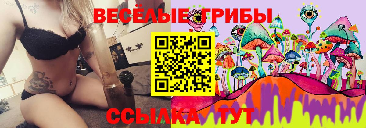 Псилоцибиновые грибы Magic Shrooms Барабинск